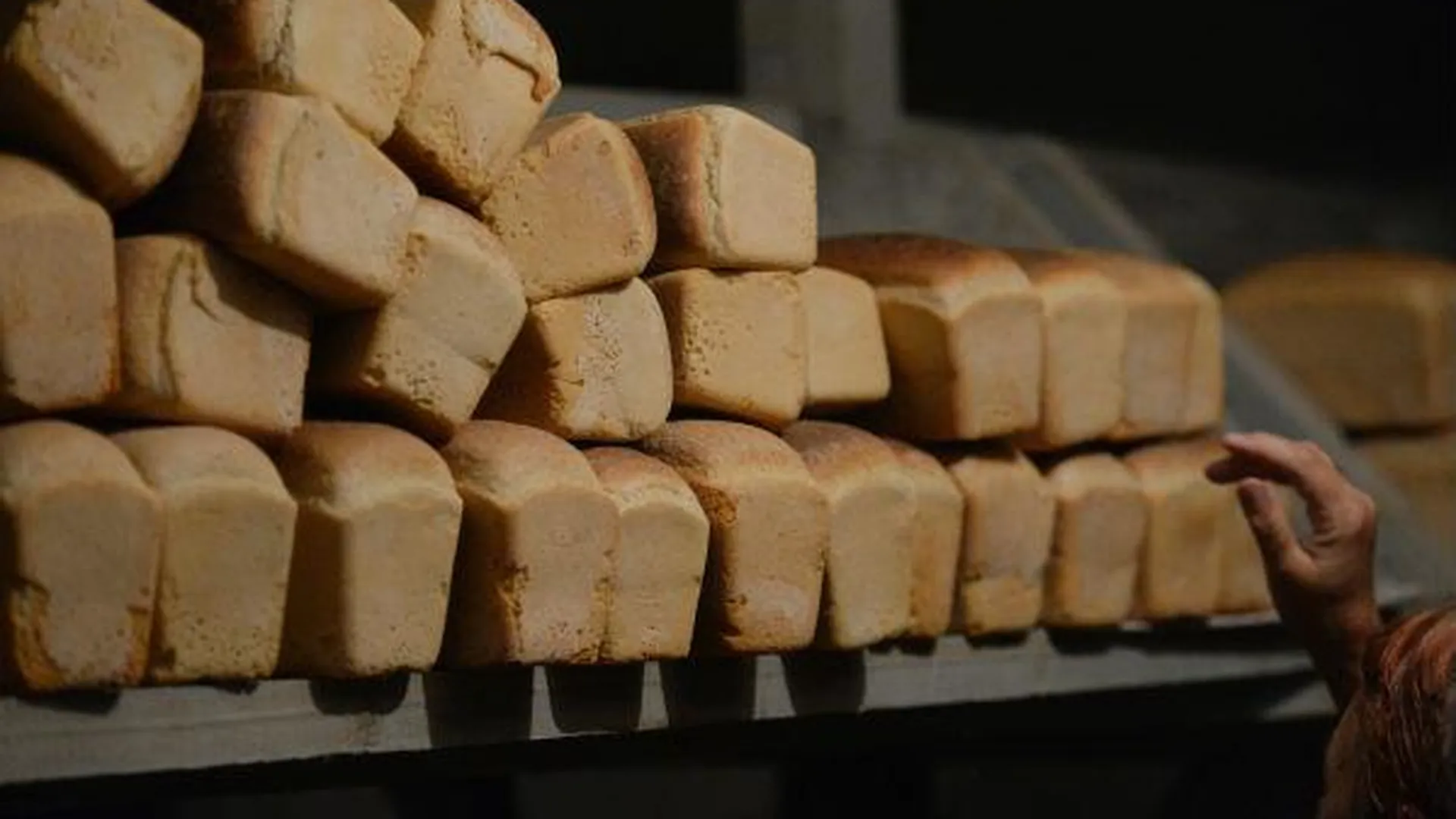 В Солнечногорском районе в память о блокаде Ленинграда раздавали хлеб