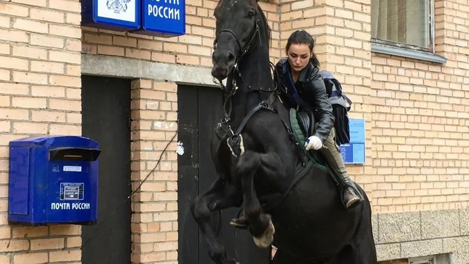 Почтальон на коне из Сергиево-Посадского района станет лицом AliExpress