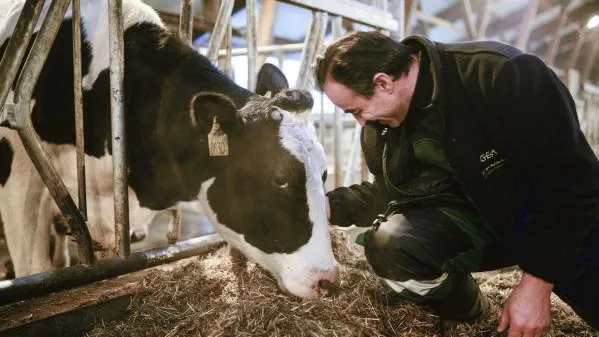 На 14% возросла молочная продуктивность скота в области за 10 лет