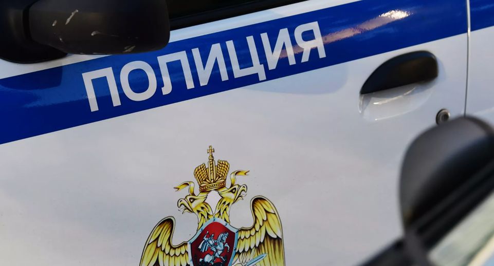 МВД: в Петербурге задержали 2-х подозреваемых в нападении на подростка в Шушарах