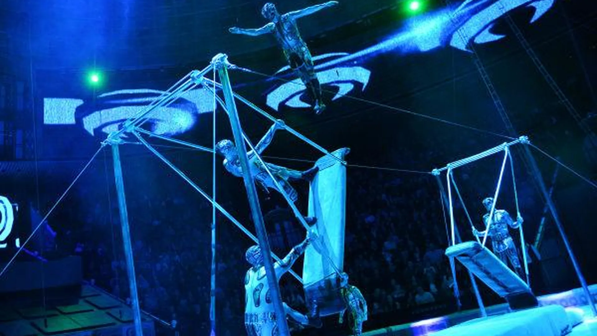 Подмосковный цирк получил приз на международном фестивале