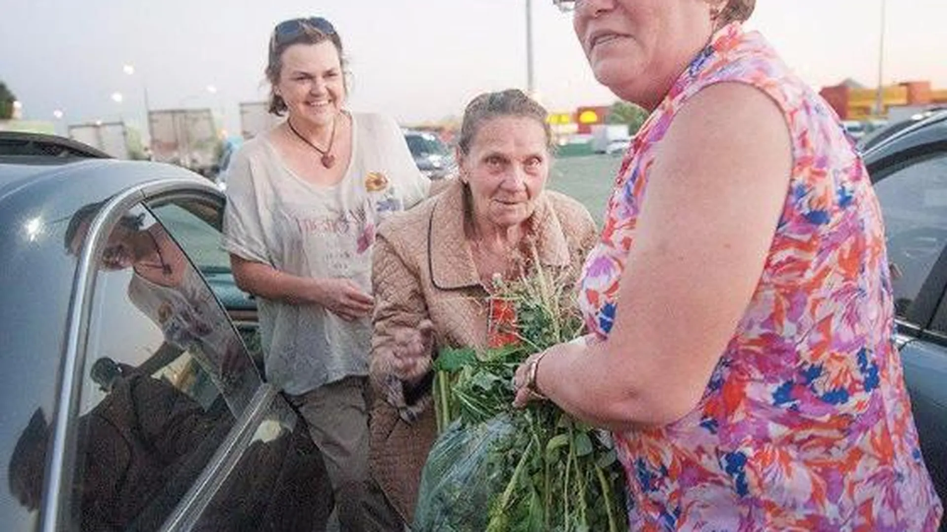 Пропавшую старушку-путешественницу спасла волонтер из Кубинки