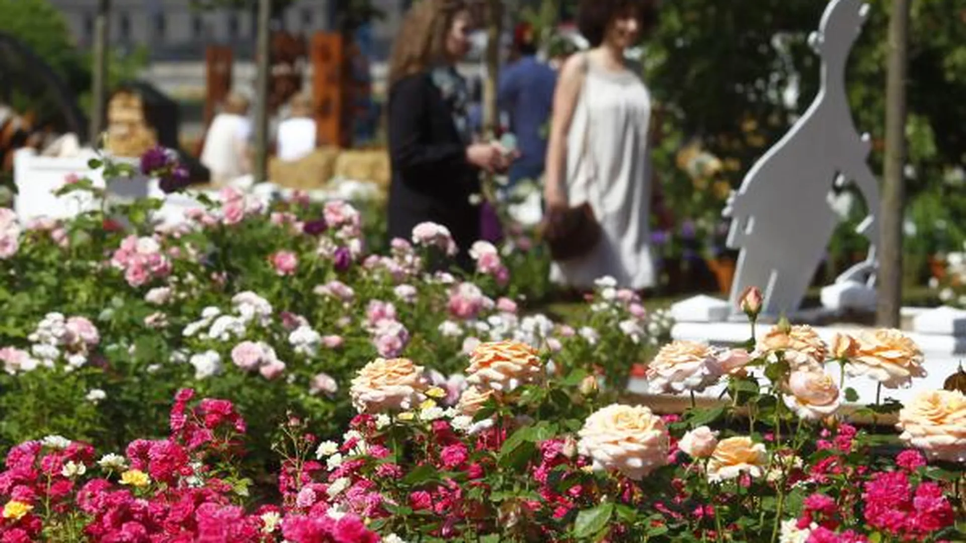 Фестиваль цветов открывается в Сергиевом Посаде