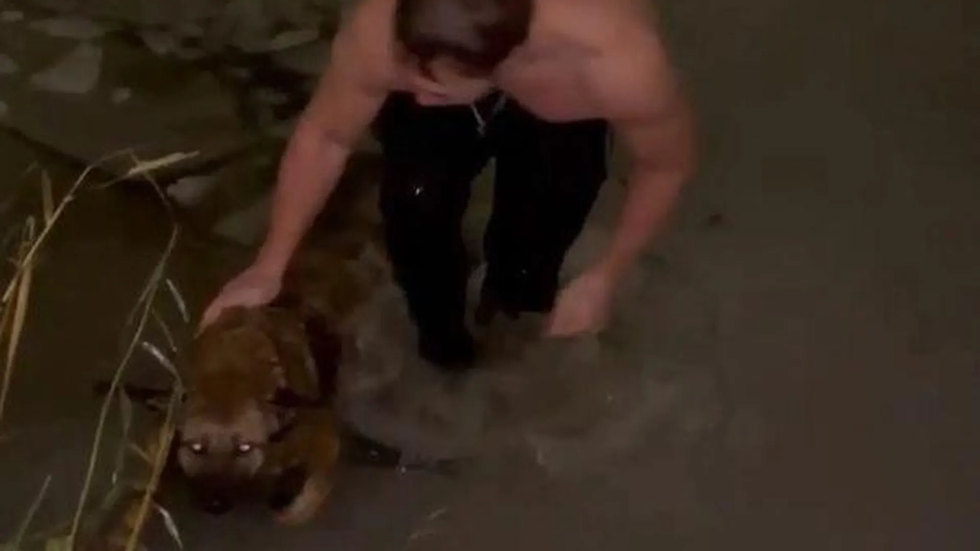 Мужчина бросился в ледяной водоем, чтобы спасти тонущего пса в Долгопрудном