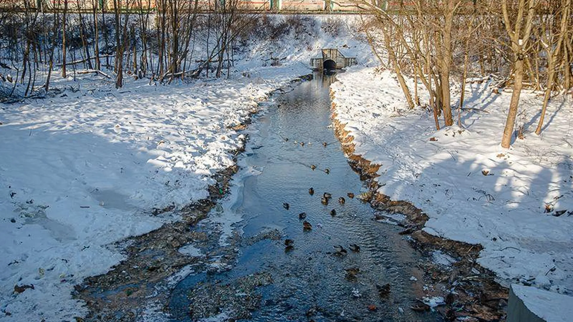Глава Одинцовского округа проверил ход капитального ремонта плотины на реке Большая Вяземка