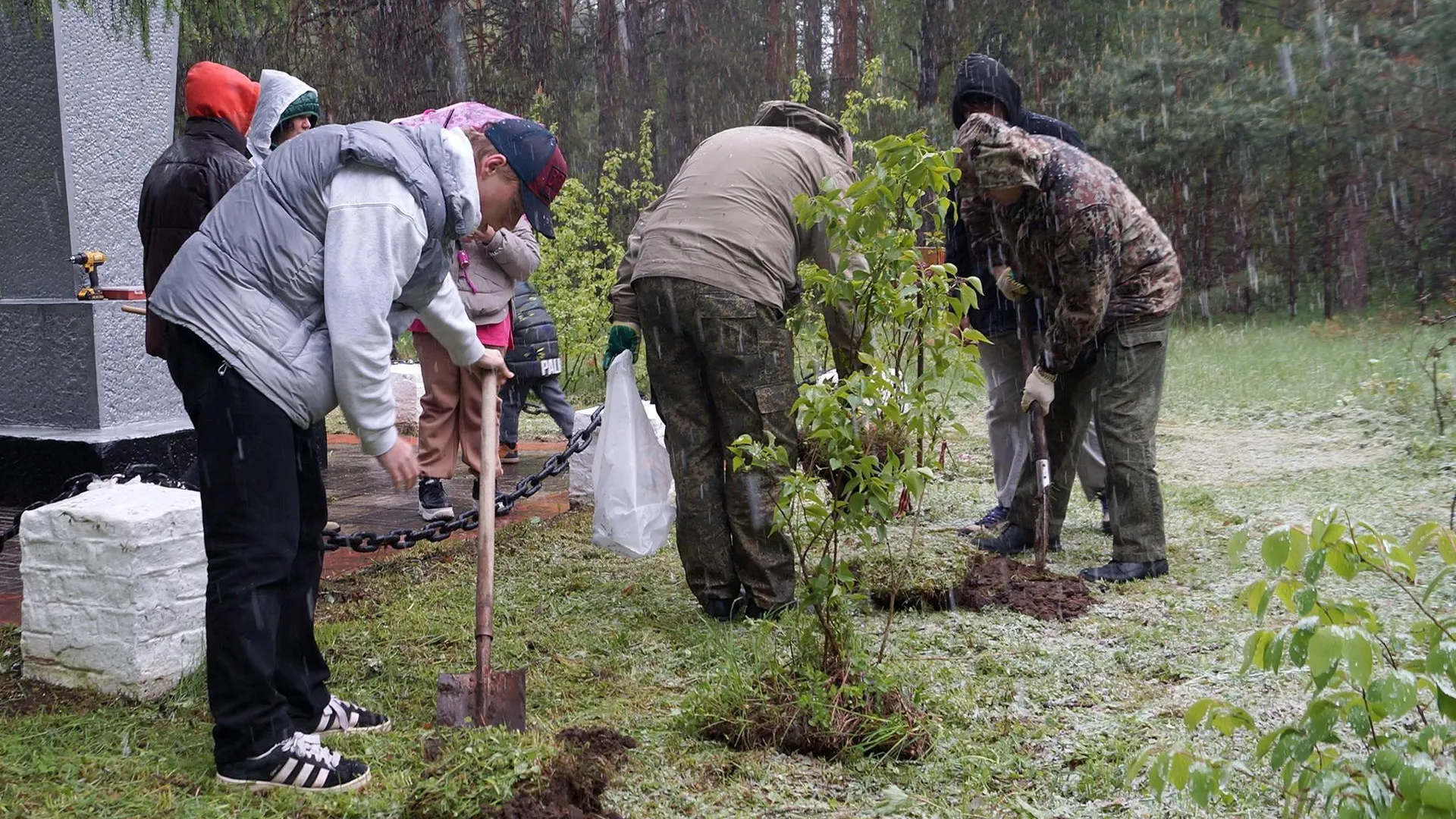 Комитет лесного хозяйства хозяйства Московской области