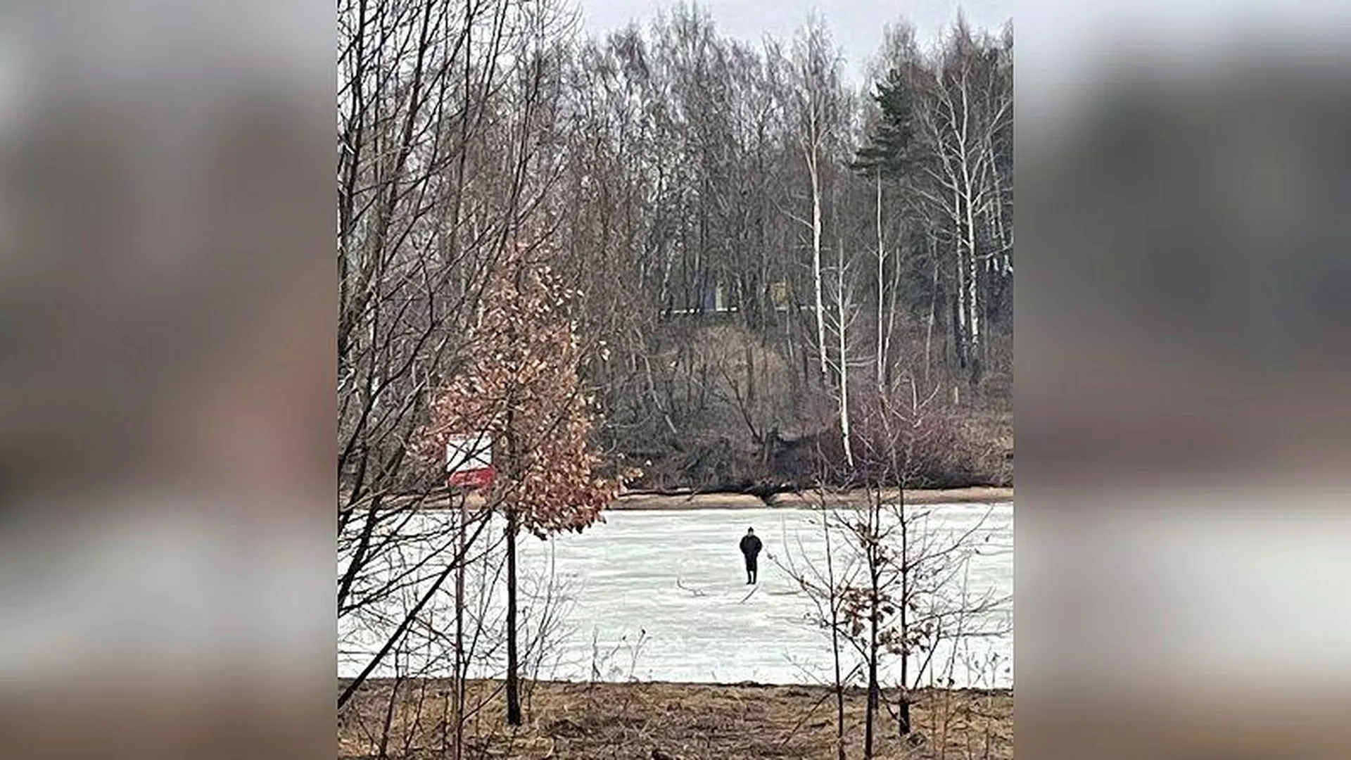 Житель Химок вышел на прогулку по льду водоема