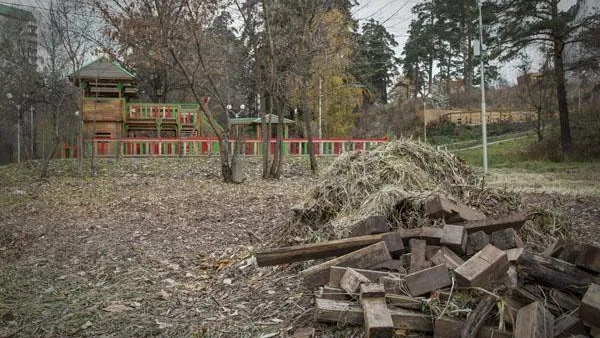 Павел Попов / Подмосковье Сегодня