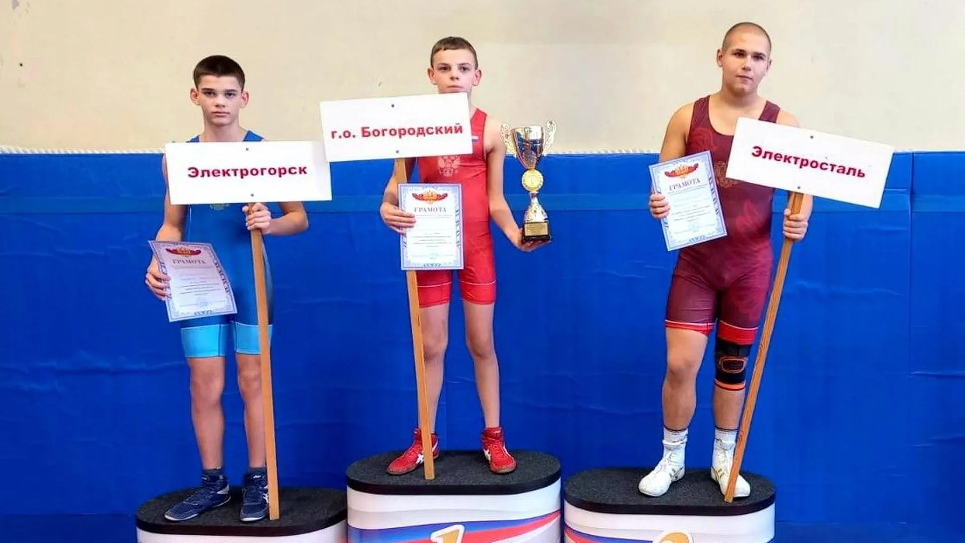 Электрогорск взял бронзу на турнире по греко-римской борьбе в Электростали