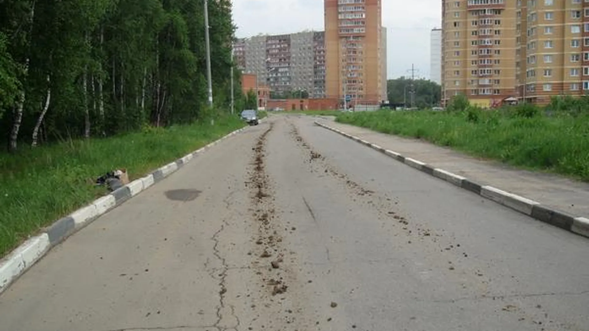 Нарушения на дорогах Подмосковья оценили в 4 млн рублей