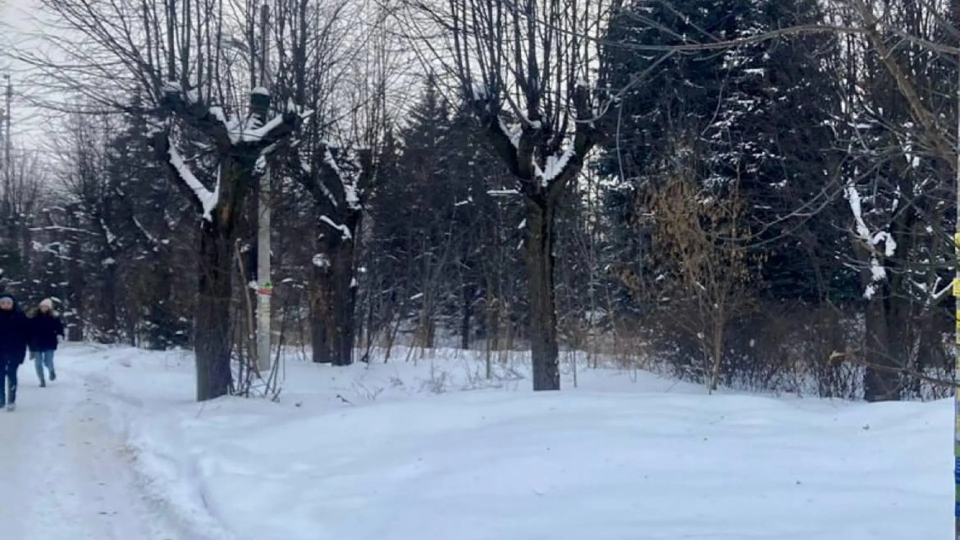 Заброшенное здание снесли в деревне Павловское в Домодедове | 360°