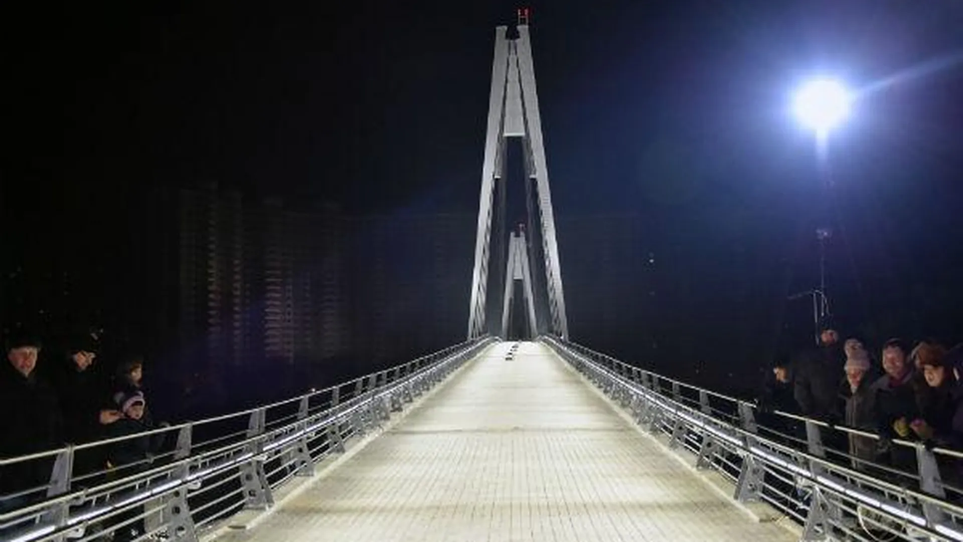 Губернатор открыл пешеходный мост в Павшинской пойме