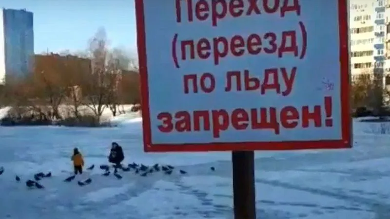 Папа из Одинцова вывел ребенка на лед, чтобы покормить птиц