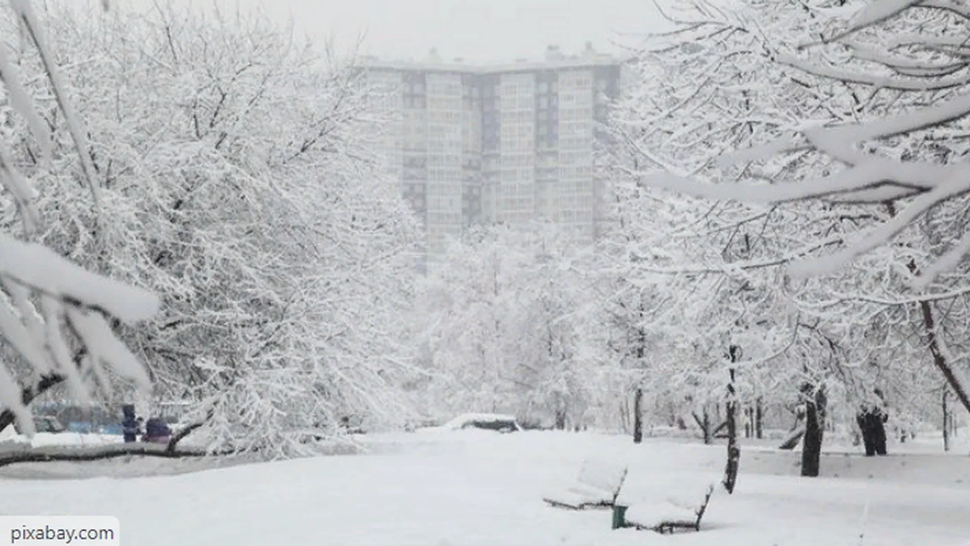 Зимняя сказка в Центральной России: реутовчан ожидает мягкая и снежная неделя