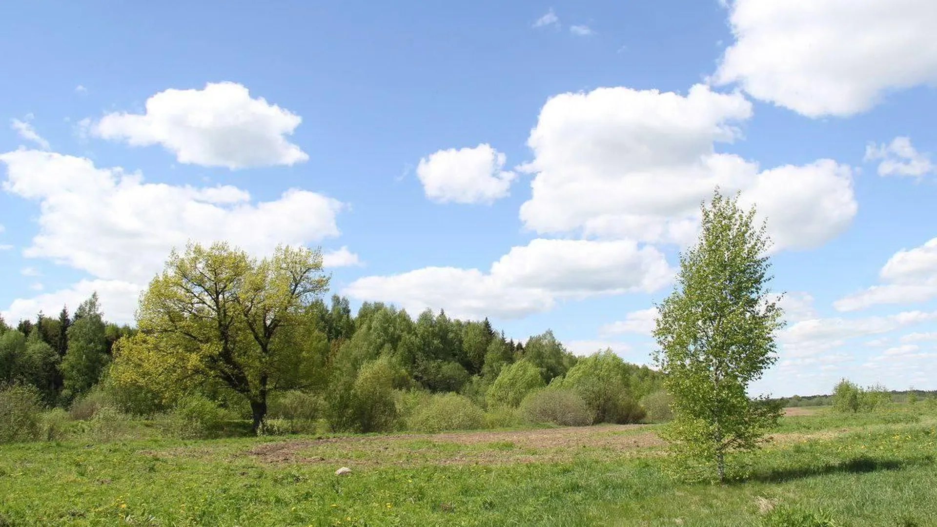 Более 1,6 гектара земли в Наро-Фоминске передали для многодетных семей Молодежного округа