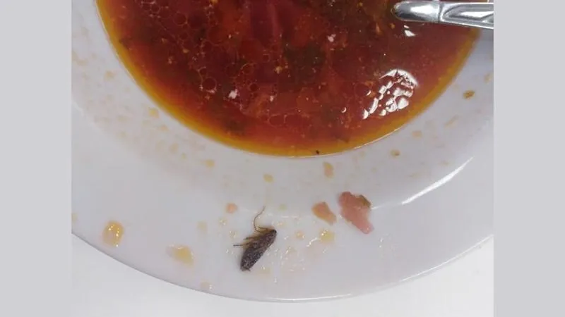 Таракана в борще обнаружили в школьной столовой Шатуры