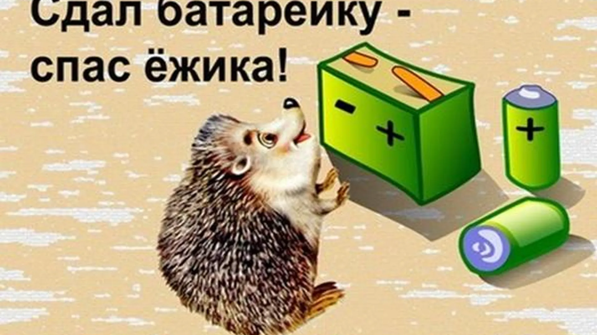 Акция «Сдал батарейку – спас ежика!» ВКонтакте