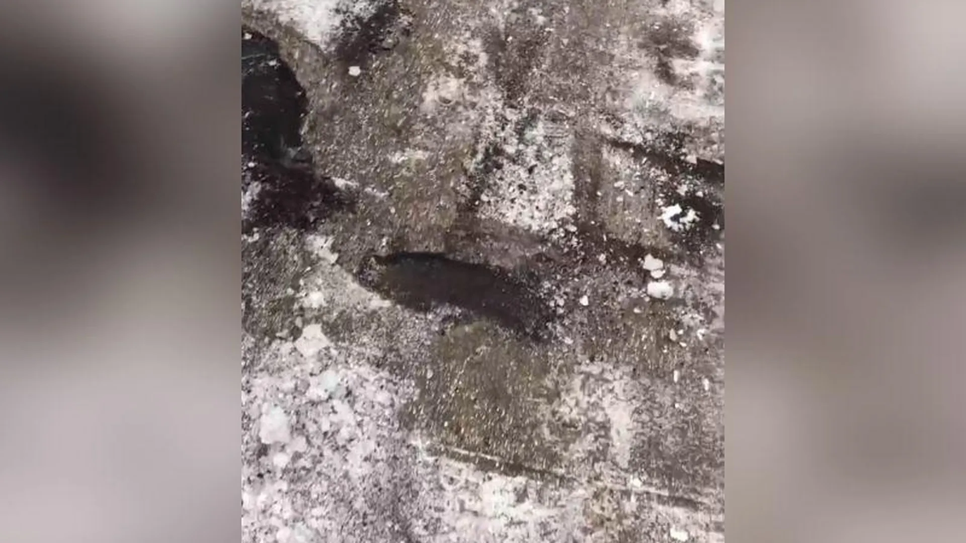 Коммунальщики очистили снег до дыр в асфальте в деревне возле Шаховской