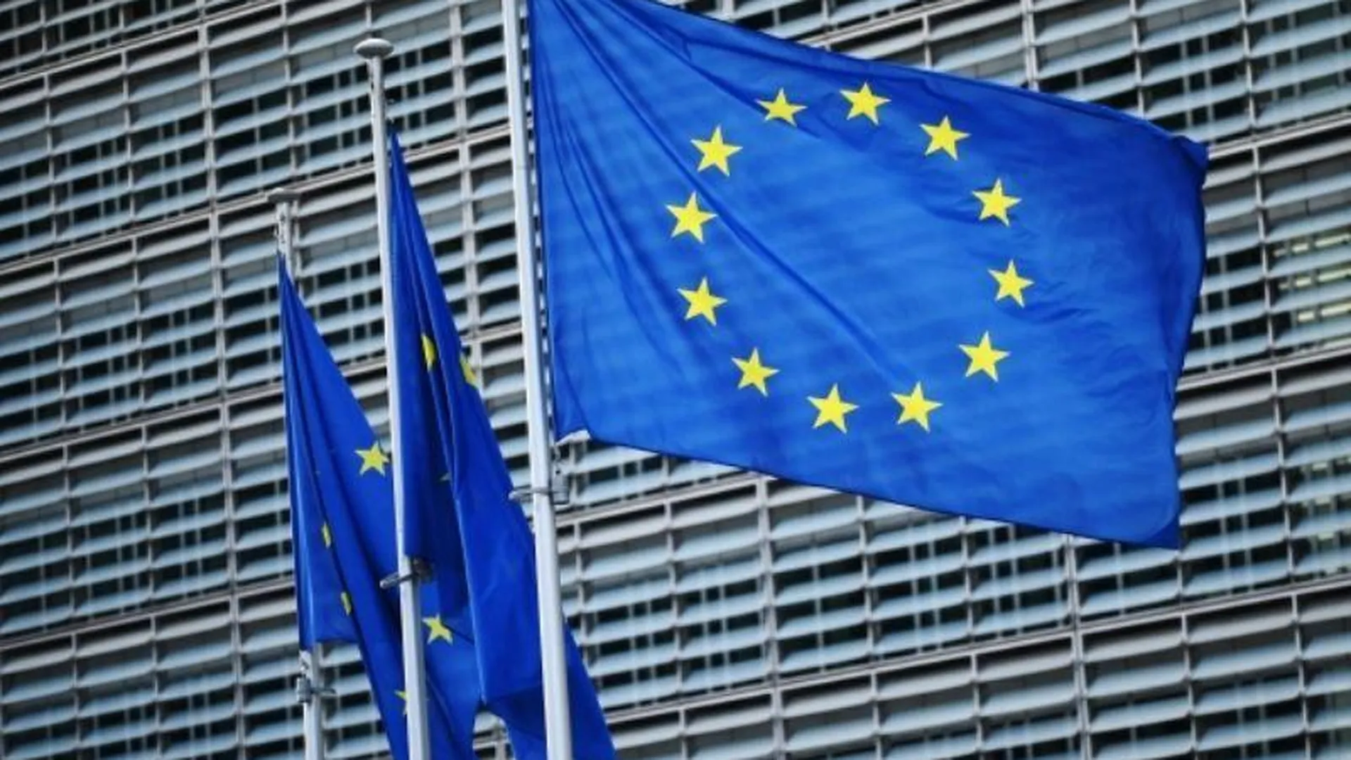 В Евросоюзе скептично отнеслись к планам Украины вступить в объединение в течение двух лет