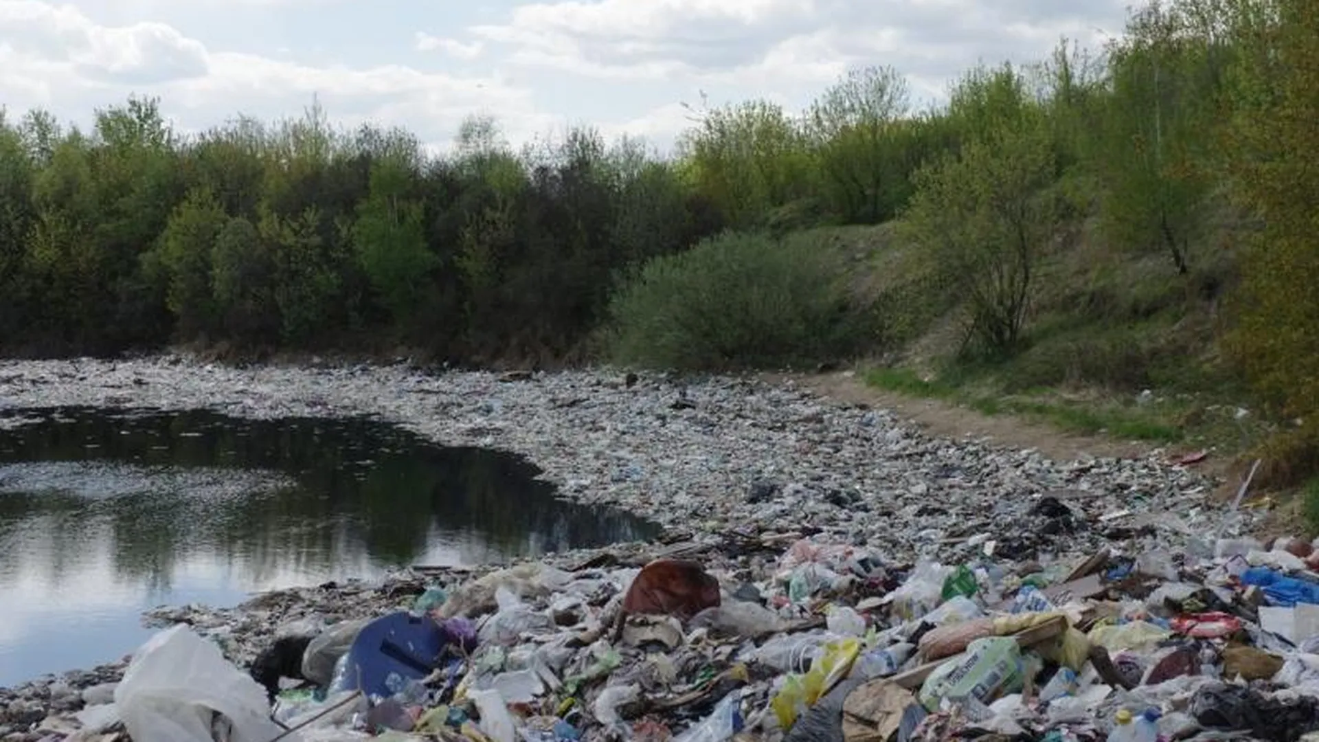 Территорию у озера Глушица в Жуковском полностью расчистят в 2020 году