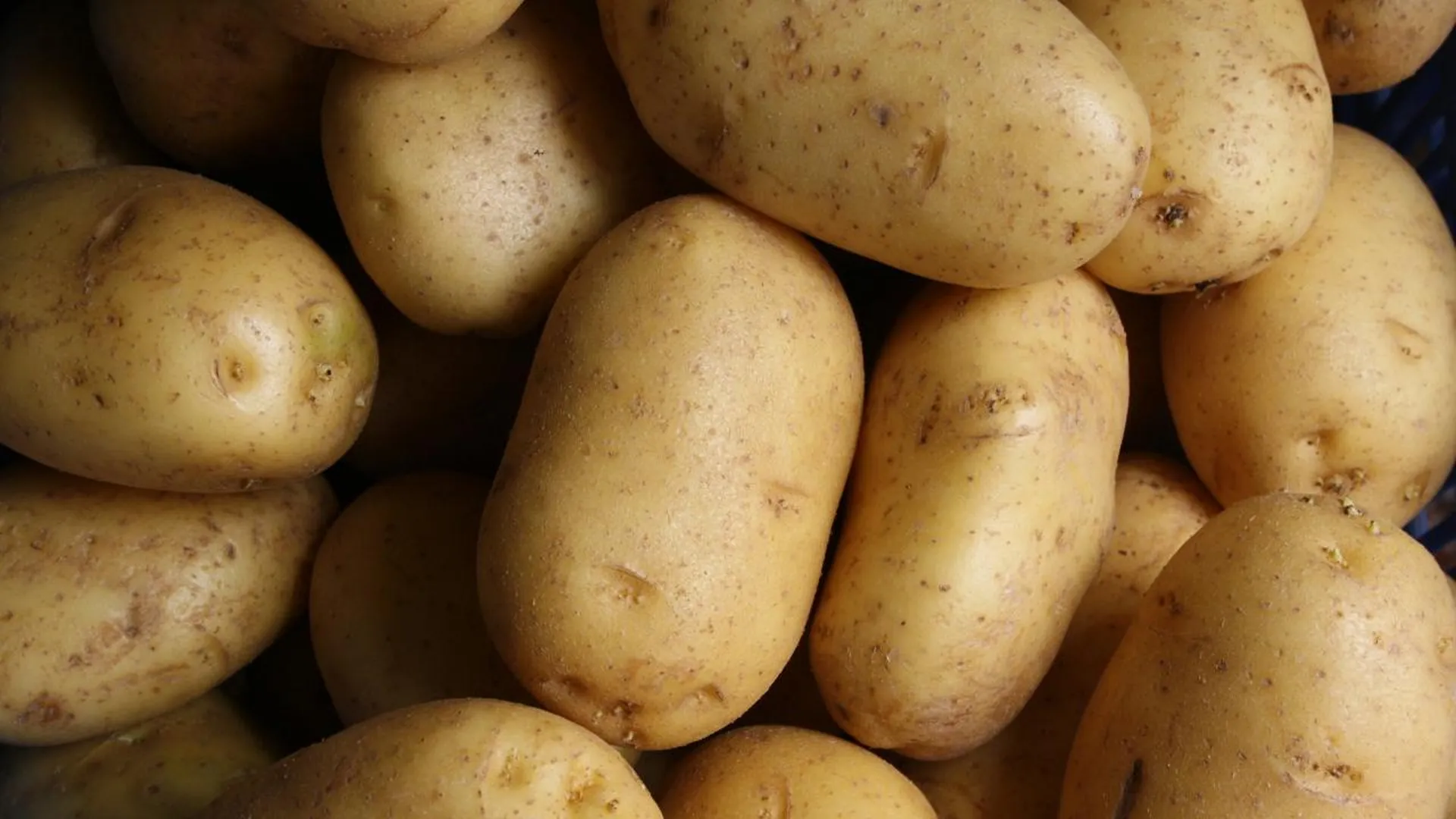 В Подмосковье задержали мужчину, который похитил 37 тонн картофеля