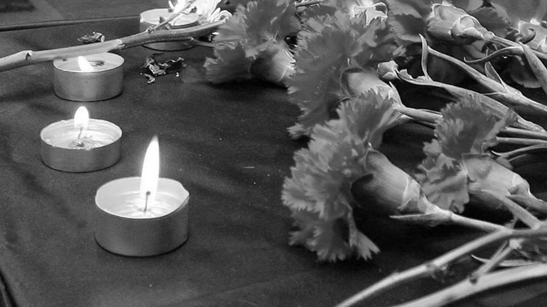 Цветы в память о погибших при теракте в Красногорске возложили в Сергиевом-Посаде