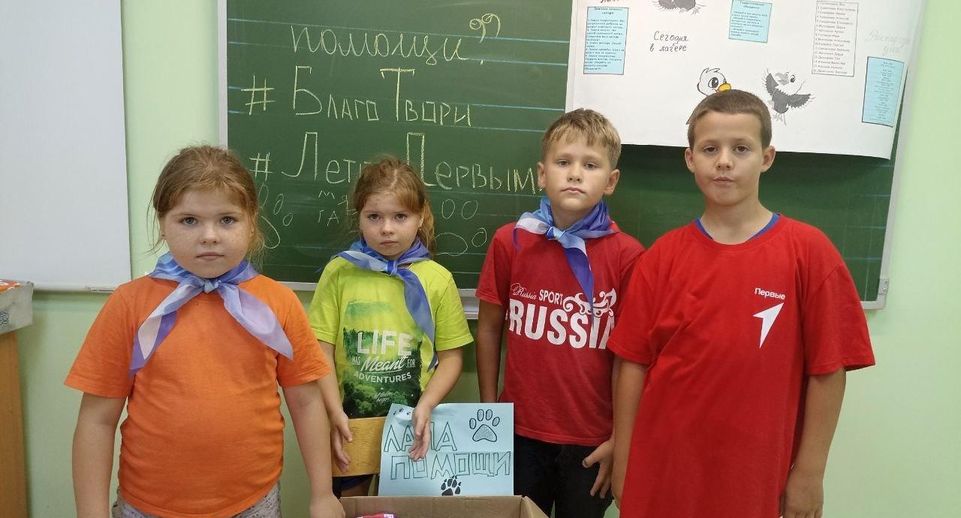 Воспитанники летнего лагеря собрали корм бездомным животным в Волоколамске