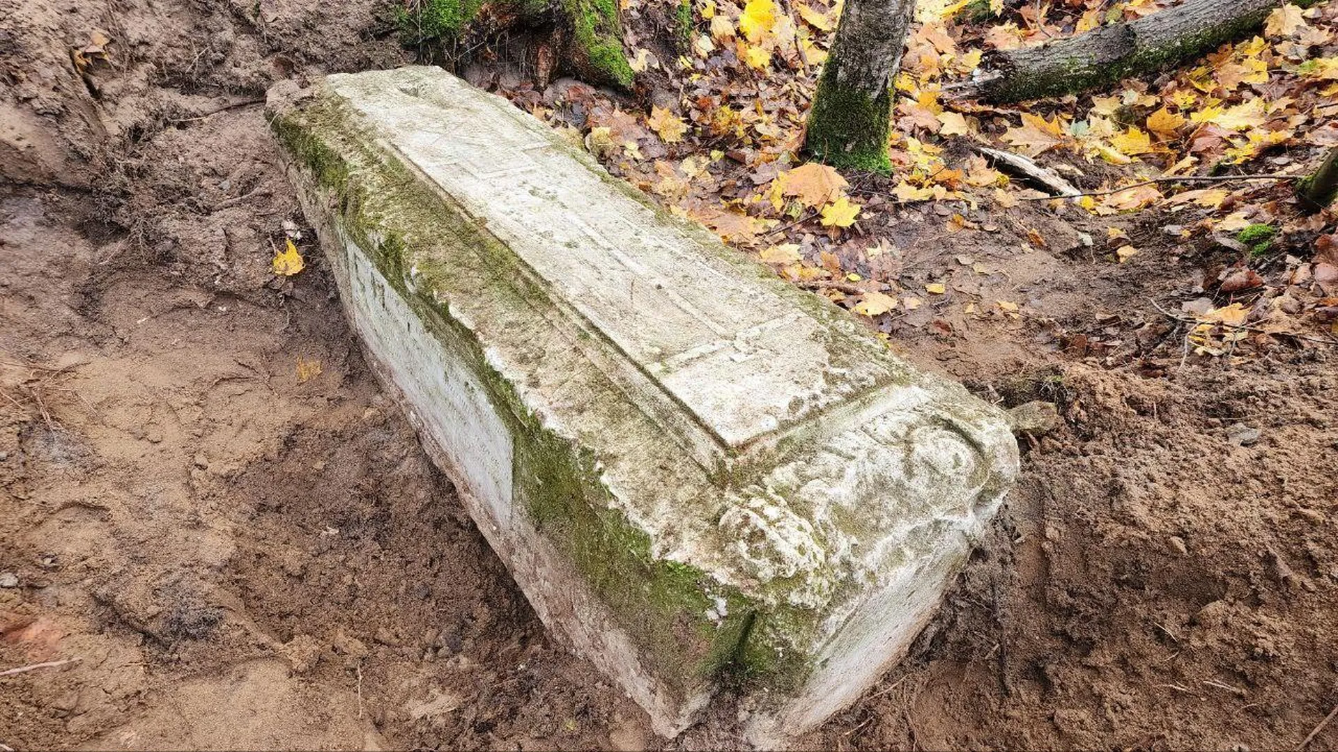 Старинное надгробие обнаружили в шатурских лесах