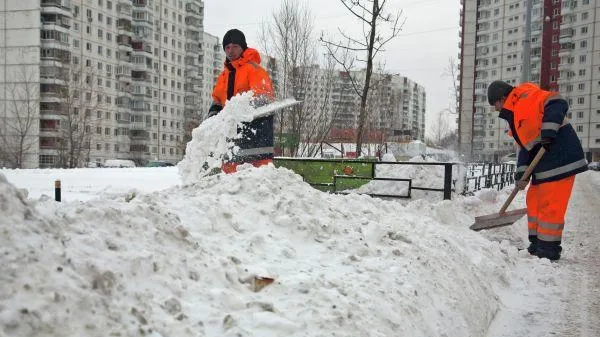 Елизавета Азарова / РИА Новости