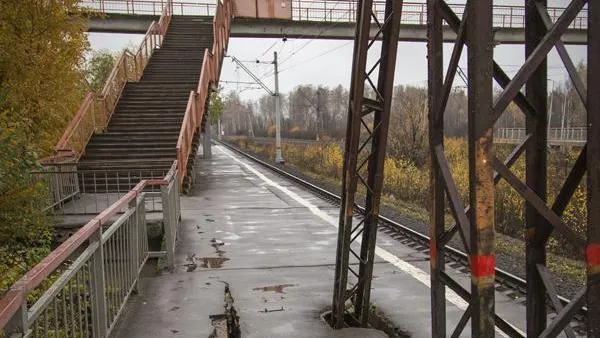 Павел Попов / Ежедневные новости. Подмосковье