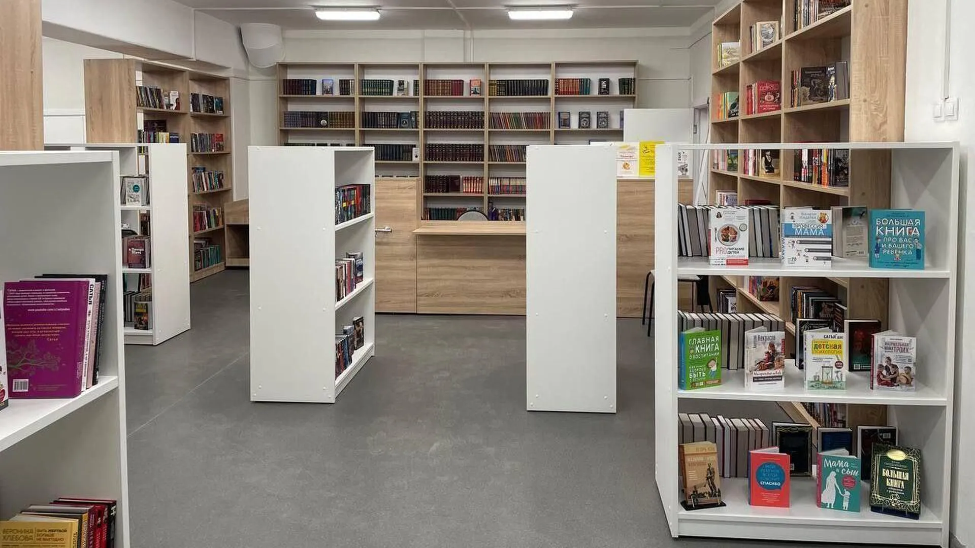 В подмосковной Электростали открывается модельная библиотека