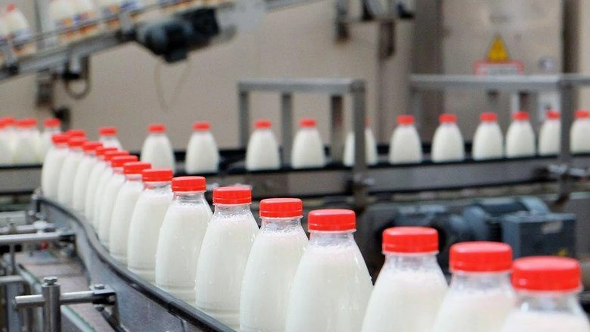 Подмосковье нарастило производство молочной продукции