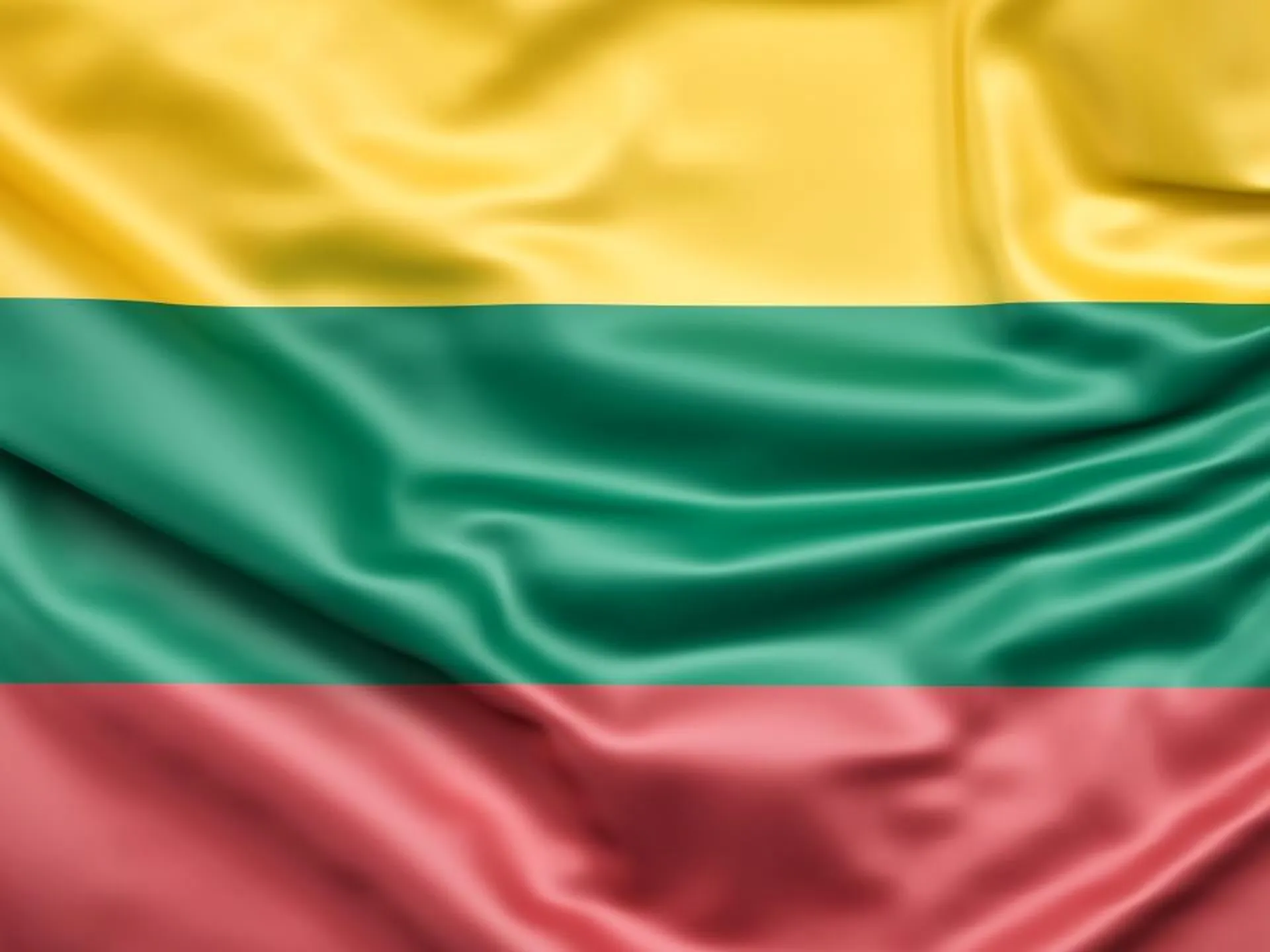 Власти Литвы собрались возвращать на родину военнообязанных украинцев по примеру Польши