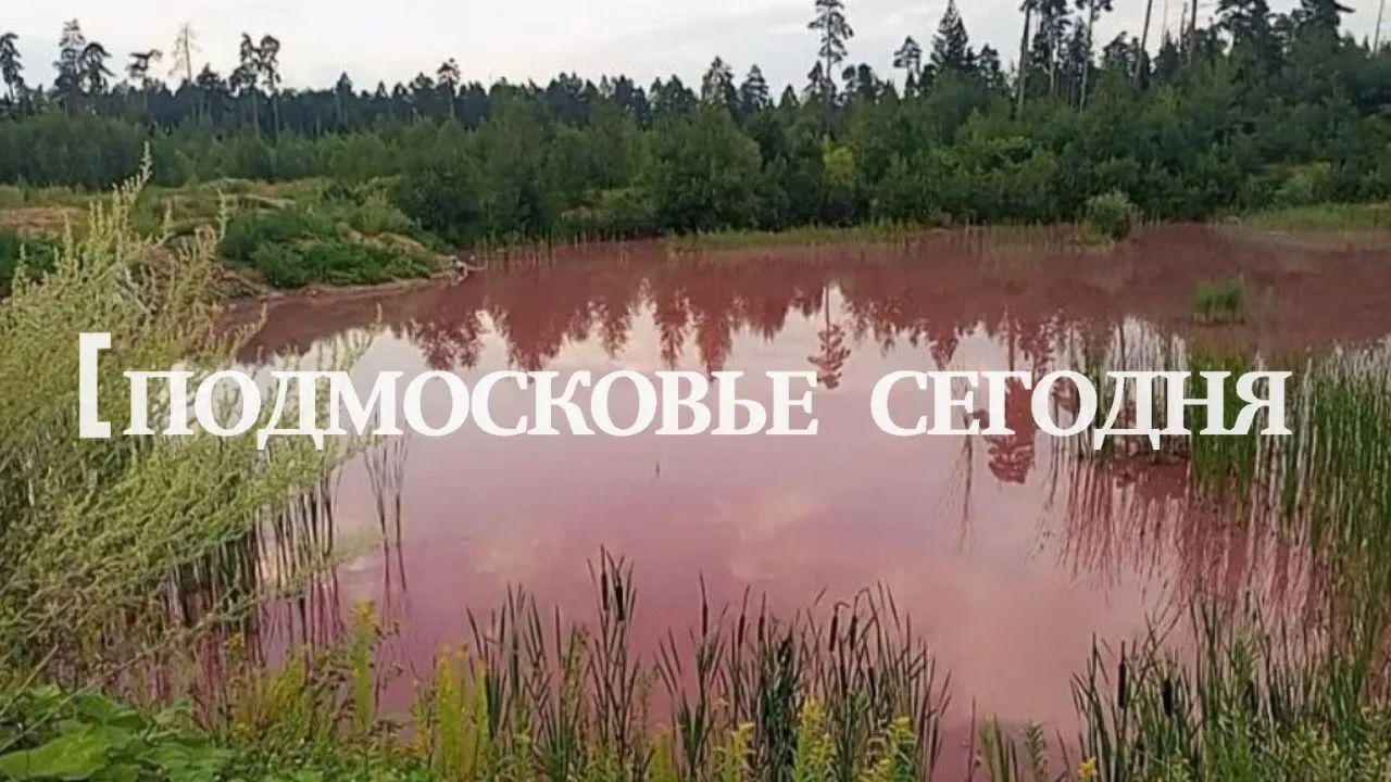 Мусор в качестве вещдока: зловонное розовое озеро шокировало жителей Подмосковья