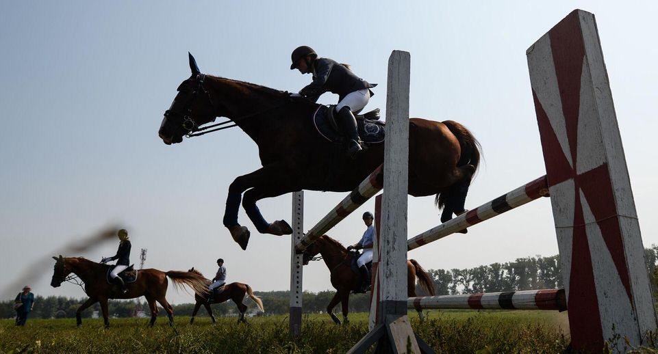 Дискуссионная площадка о конном спорте Equestrian Discovery открылась на ПМЭФ