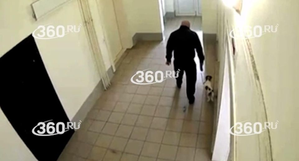 Житель ЖК «Академ Риверсайд» в Челябинске избил щенка