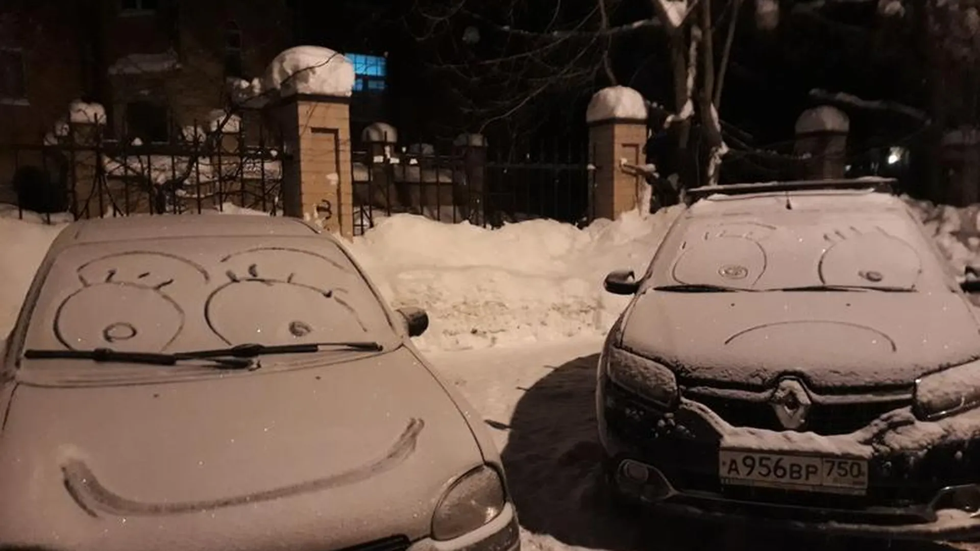 Жители дома в Солнечногорске организовали десант по уборке снега