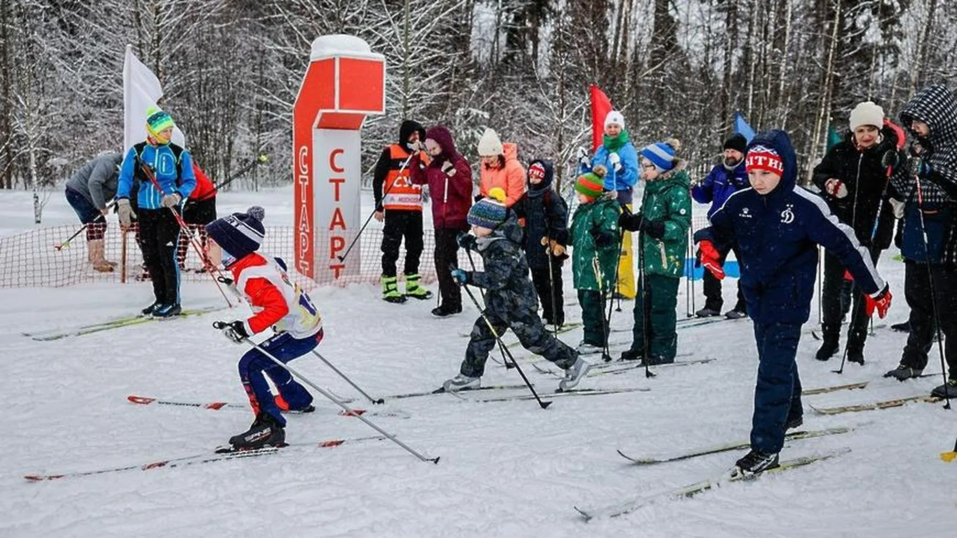 В Мытищах состоялись соревнования по лыжным гонкам: участвовали спортсмены из всей области