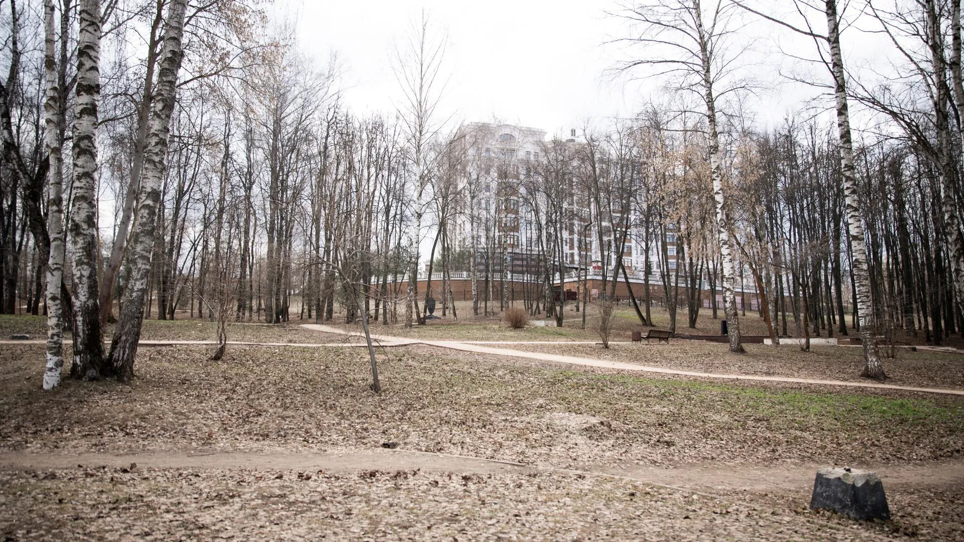 План благоустройства парка «Подлипичье» в Дмитрове составят по пожеланиям жителей