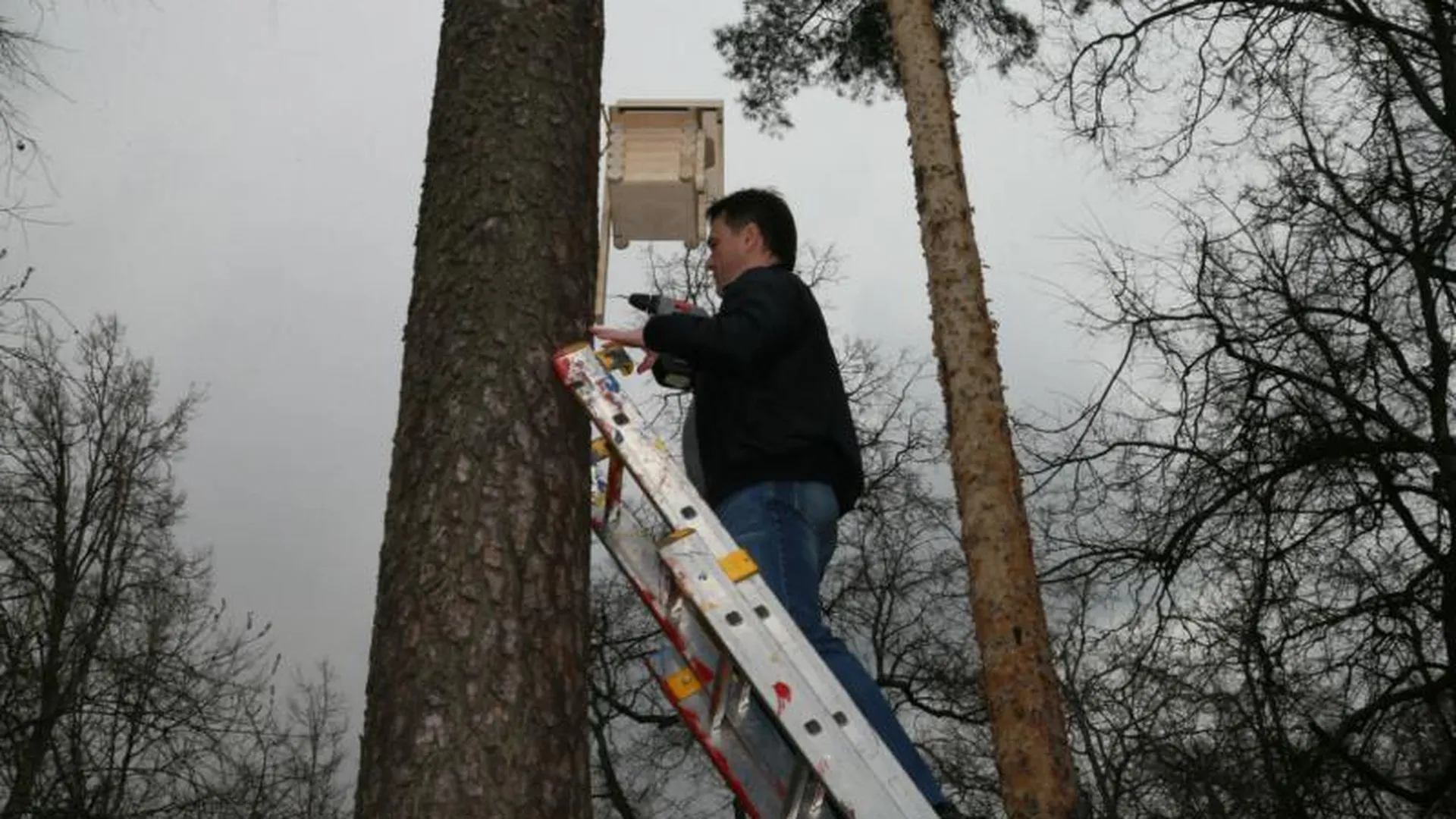 Воробьев повесил скворечник в городском парке в Раменском