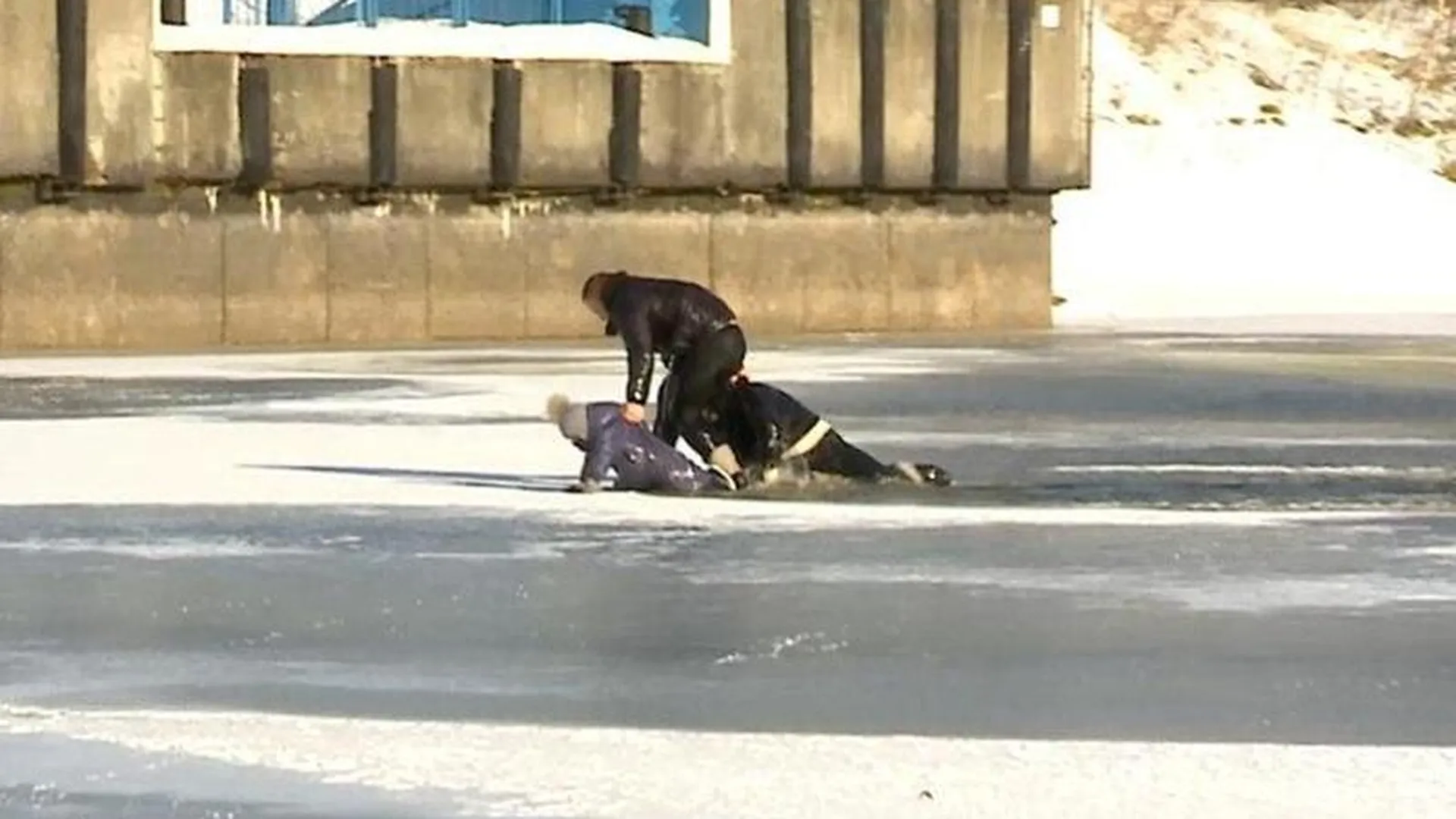 Отец и двое детей провалились под лед на прогулке в Мытищах