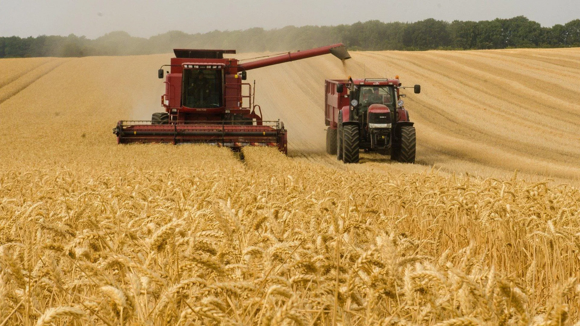 Захарова осудила фон дер Ляйен за идею повысить пошлины на зерно из России