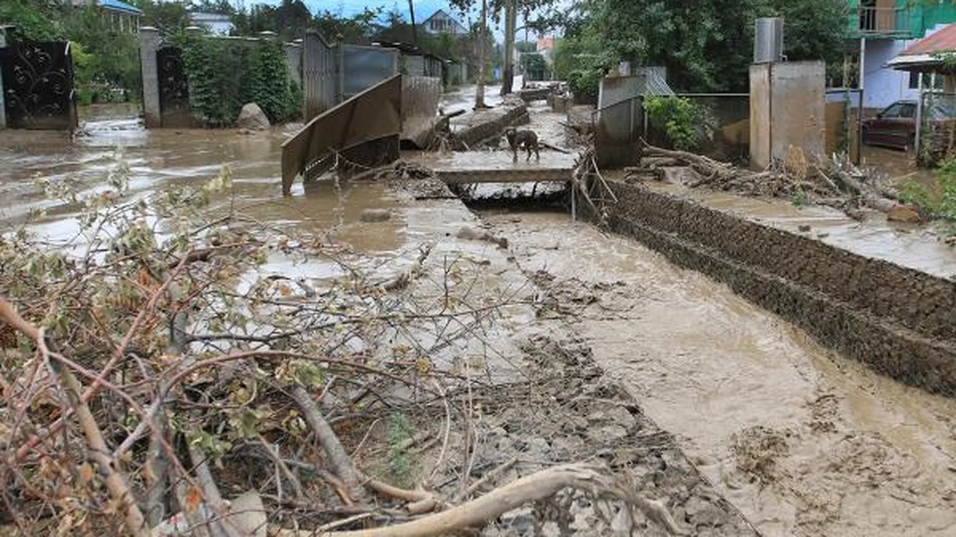 В Кабардино-Балкарии селевые потоки заблокировали более 500 человек