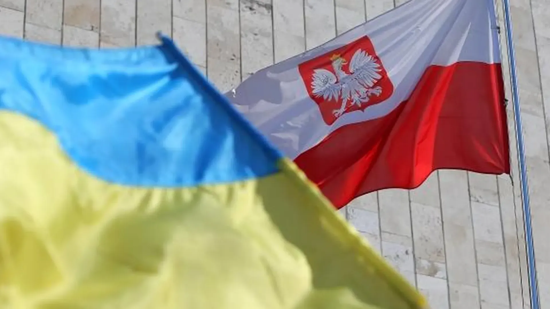 Польские фермеры за месяц обрушили импорт на Украину на 14%