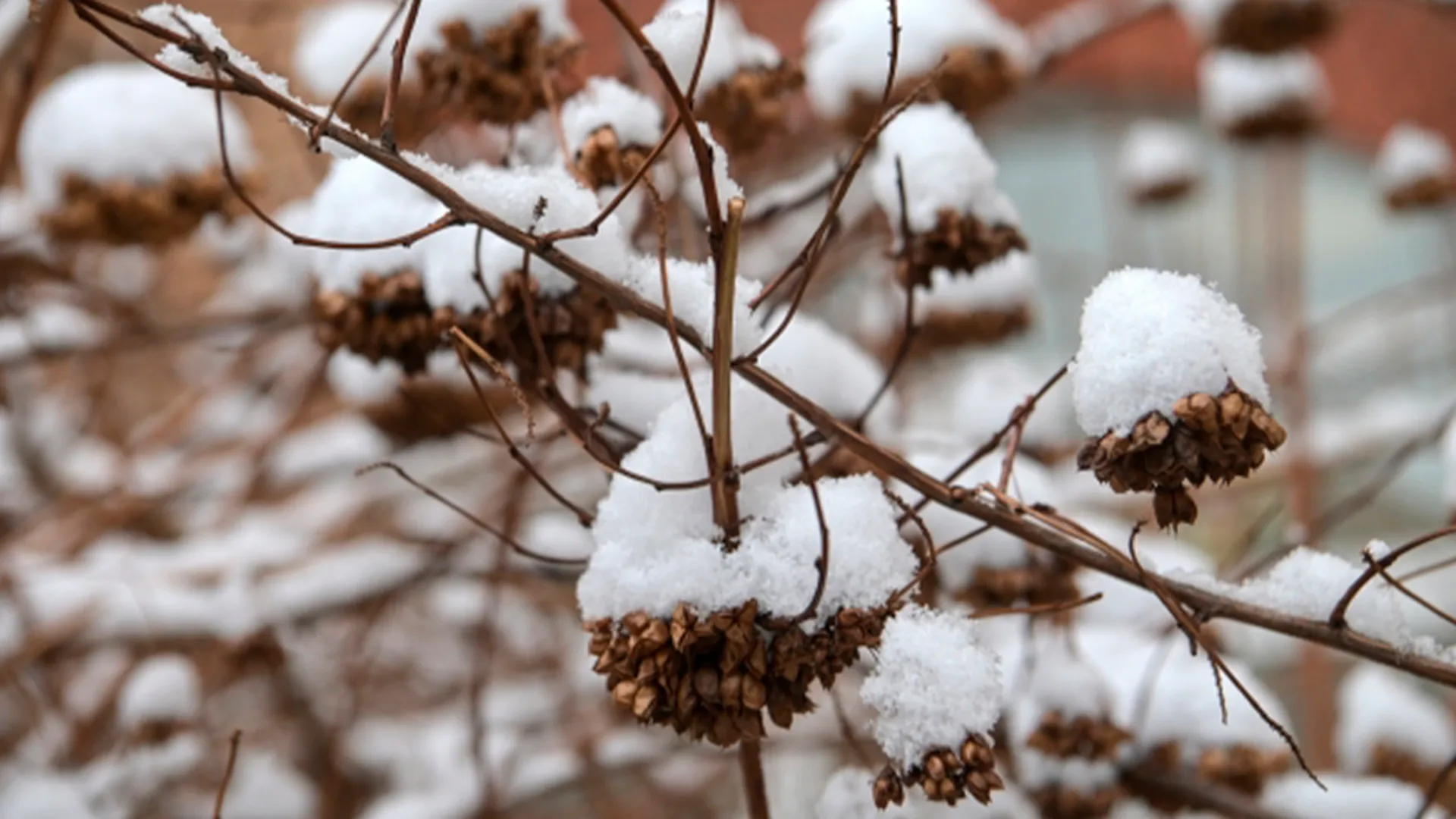 Известный метеоролог рассказал, когда в Москве и Подмосковье полностью растает снег