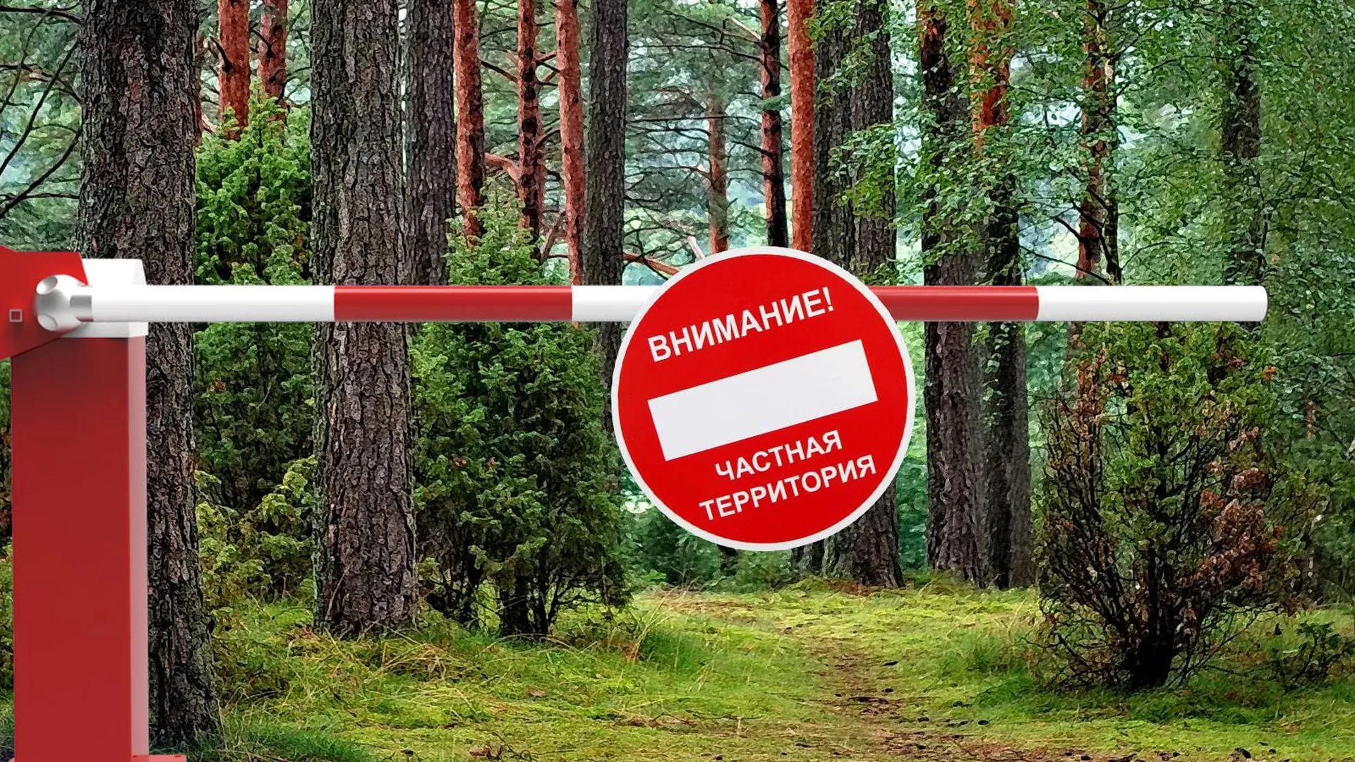 Лес закрыт шлагбаумом с предупредительном знаком