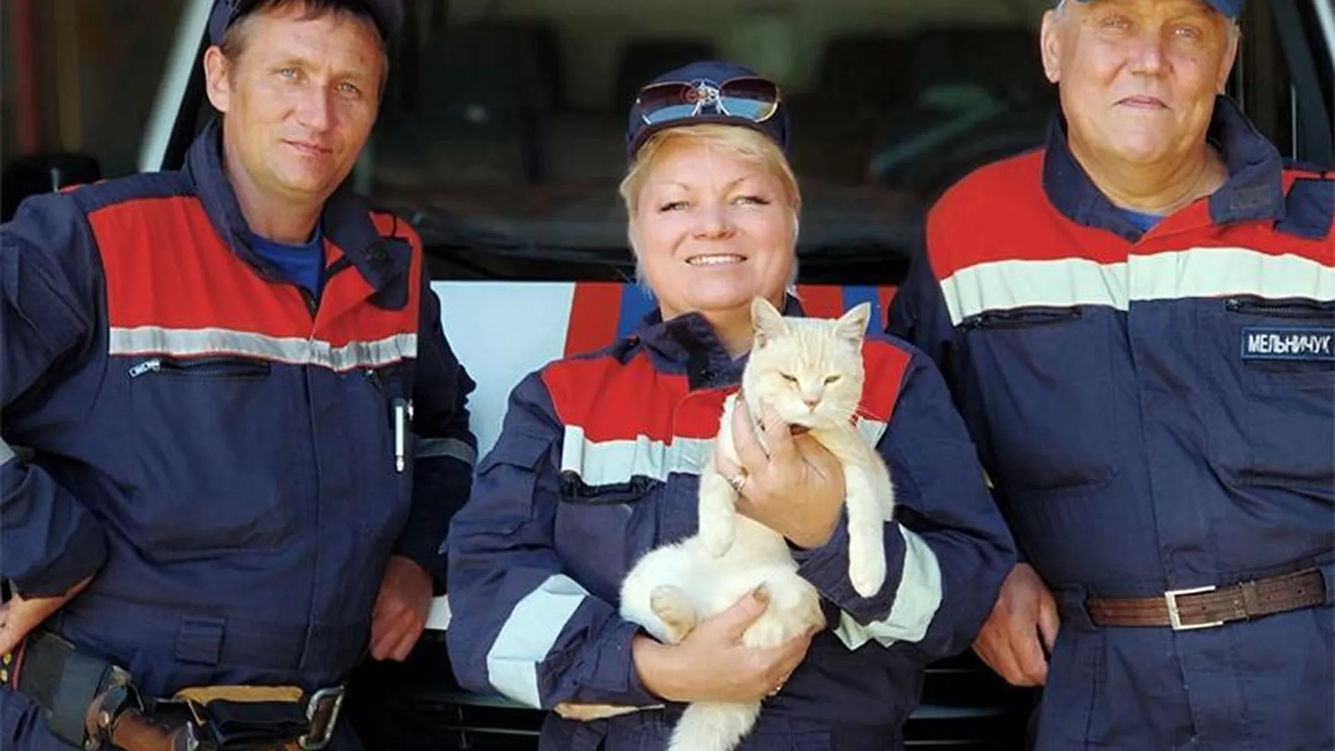 Спасатели из Можайска выходили котенка и зачислили в свой отряд