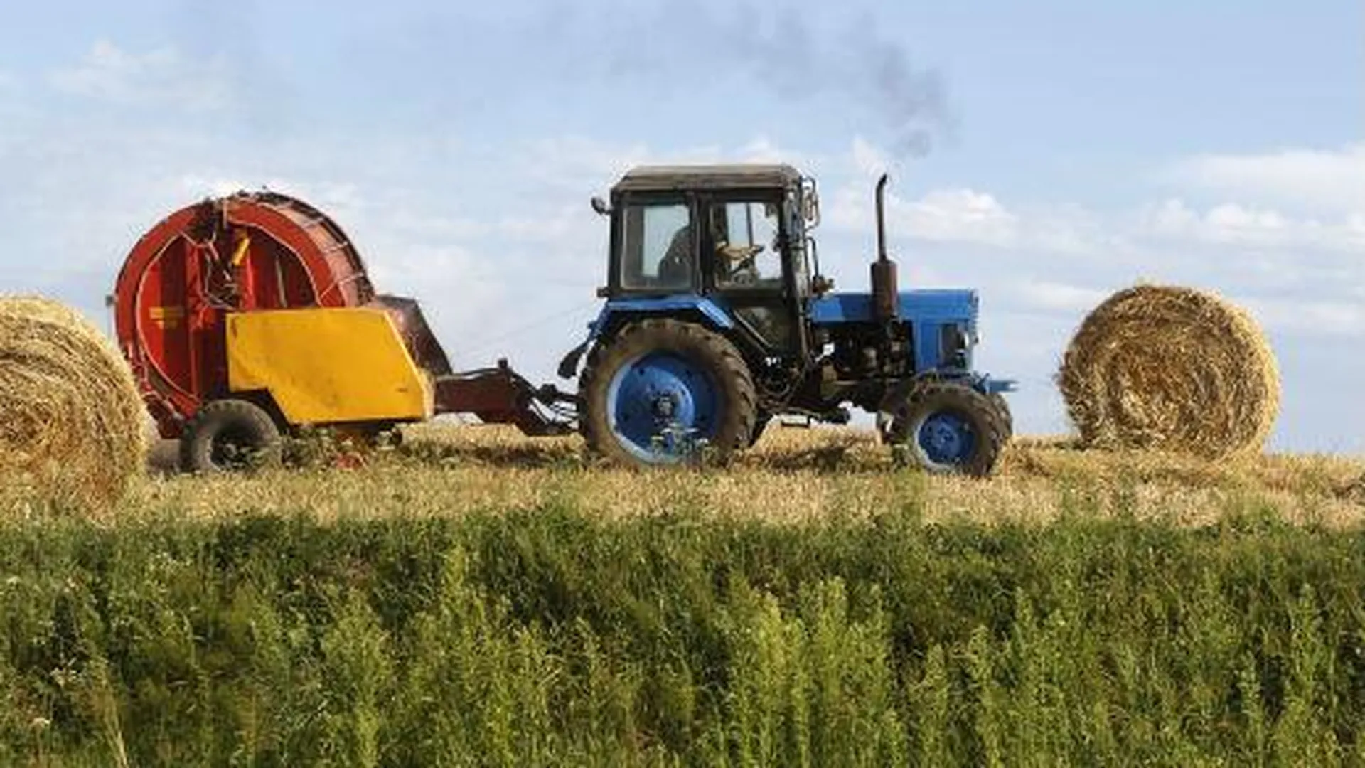 Сельхозпредприятия МО в ноябре полностью устранили все нарушения 
