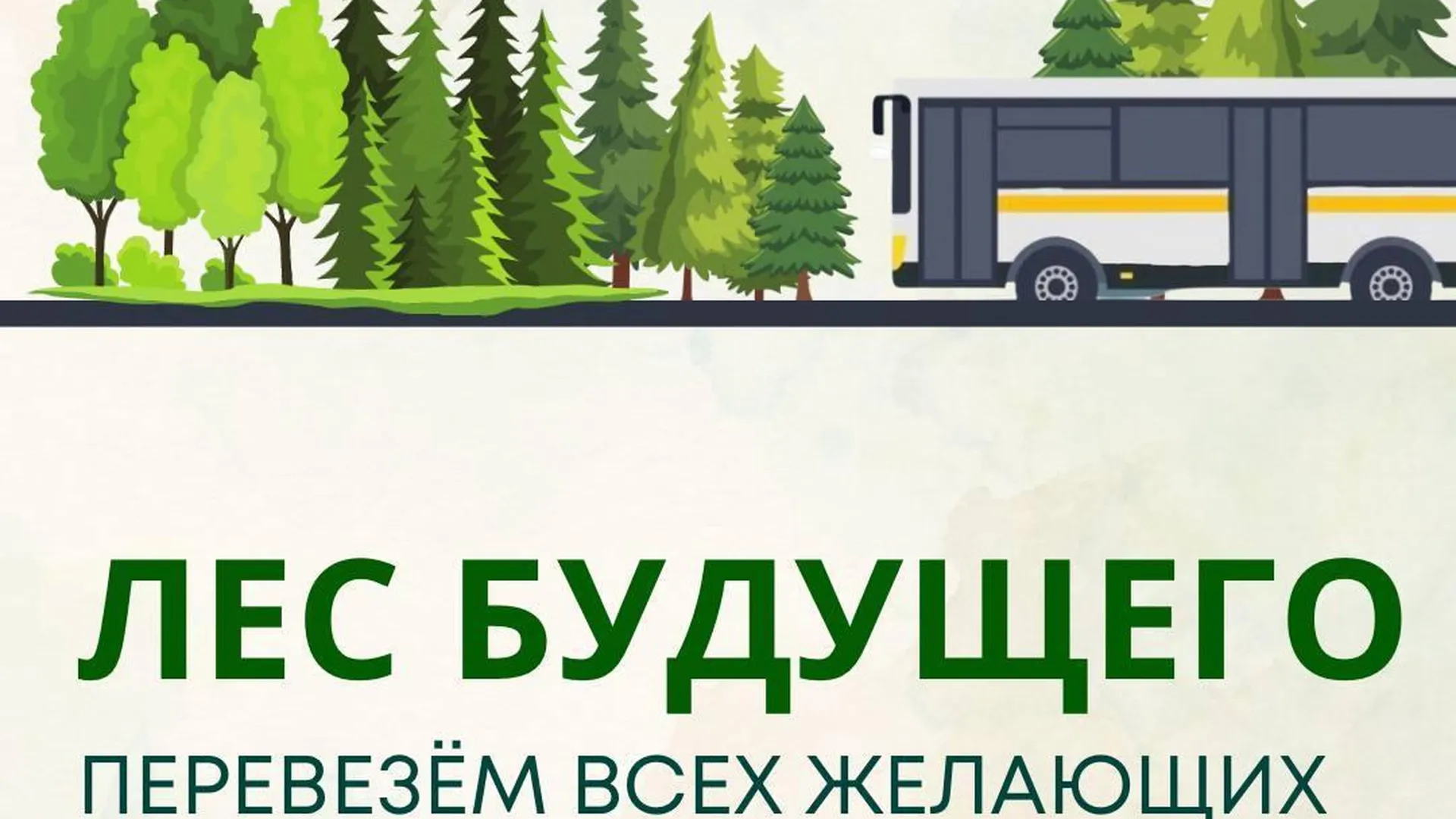 Бесплатные автобусы довезут участников акции «Лес будущего» до площадки в Дмитрове