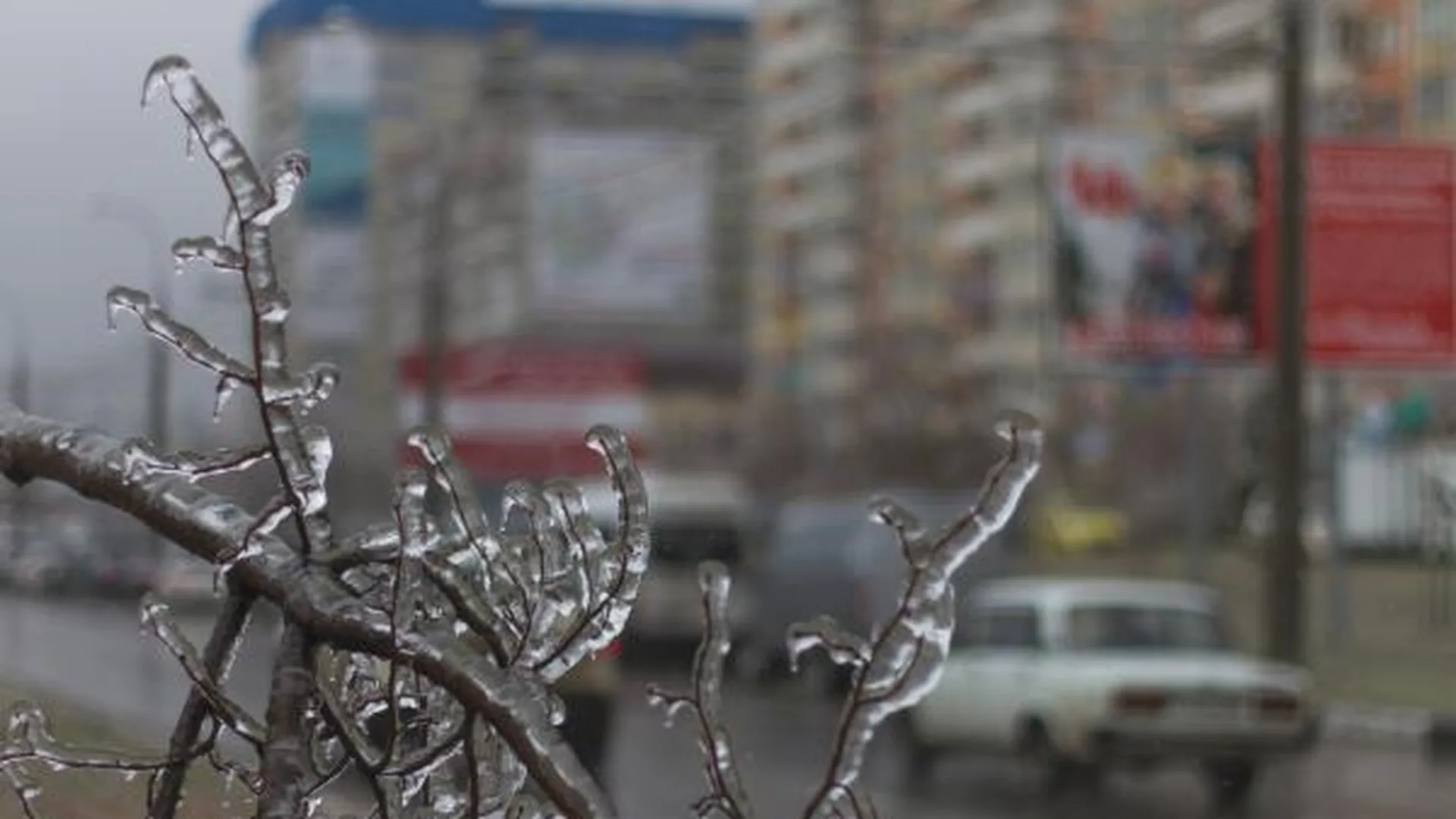 В Московской области резко похолодало